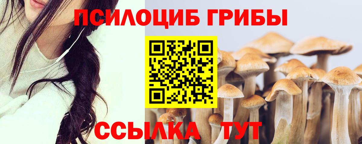 Галлюциногенные грибы MAGIC MUSHROOMS Прокопьевск